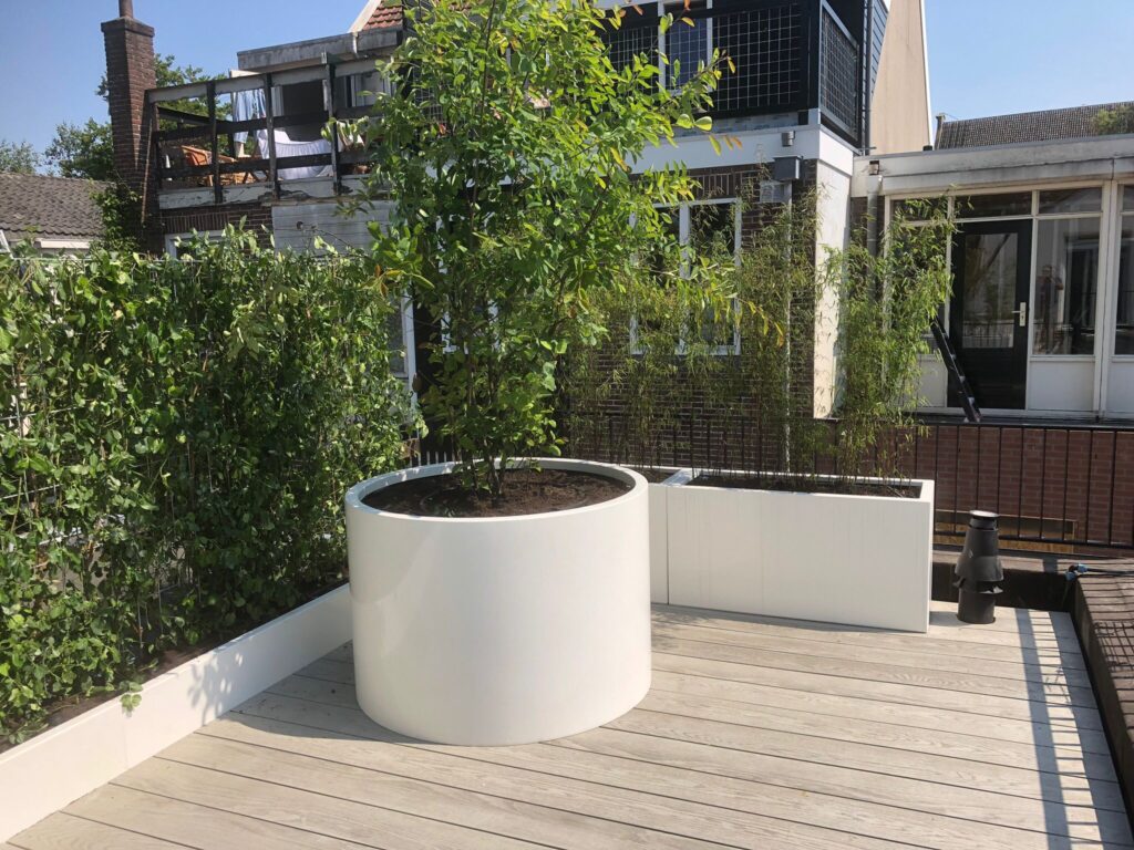 2aefed81-e099-489d-9174-cbcfde529dfd