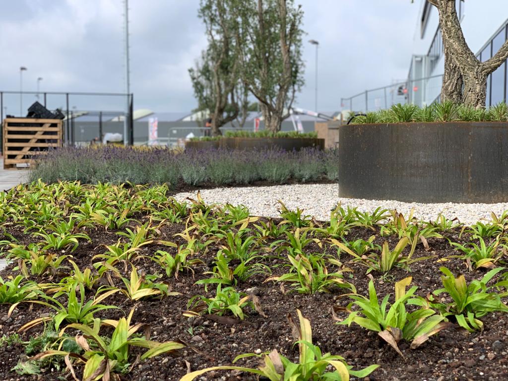 IMG-20190927-WA0001 - kopie