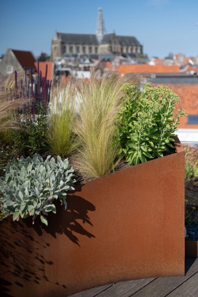 Schachgelstraat LR 015