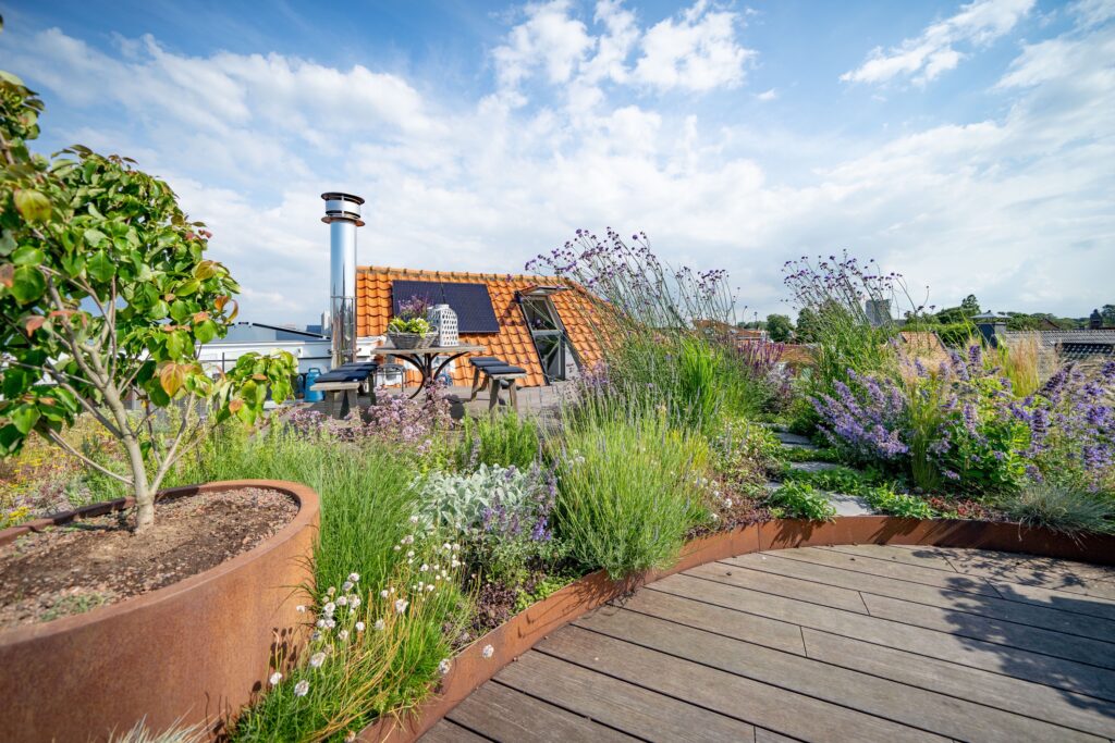 Schachgelstraat LR 031