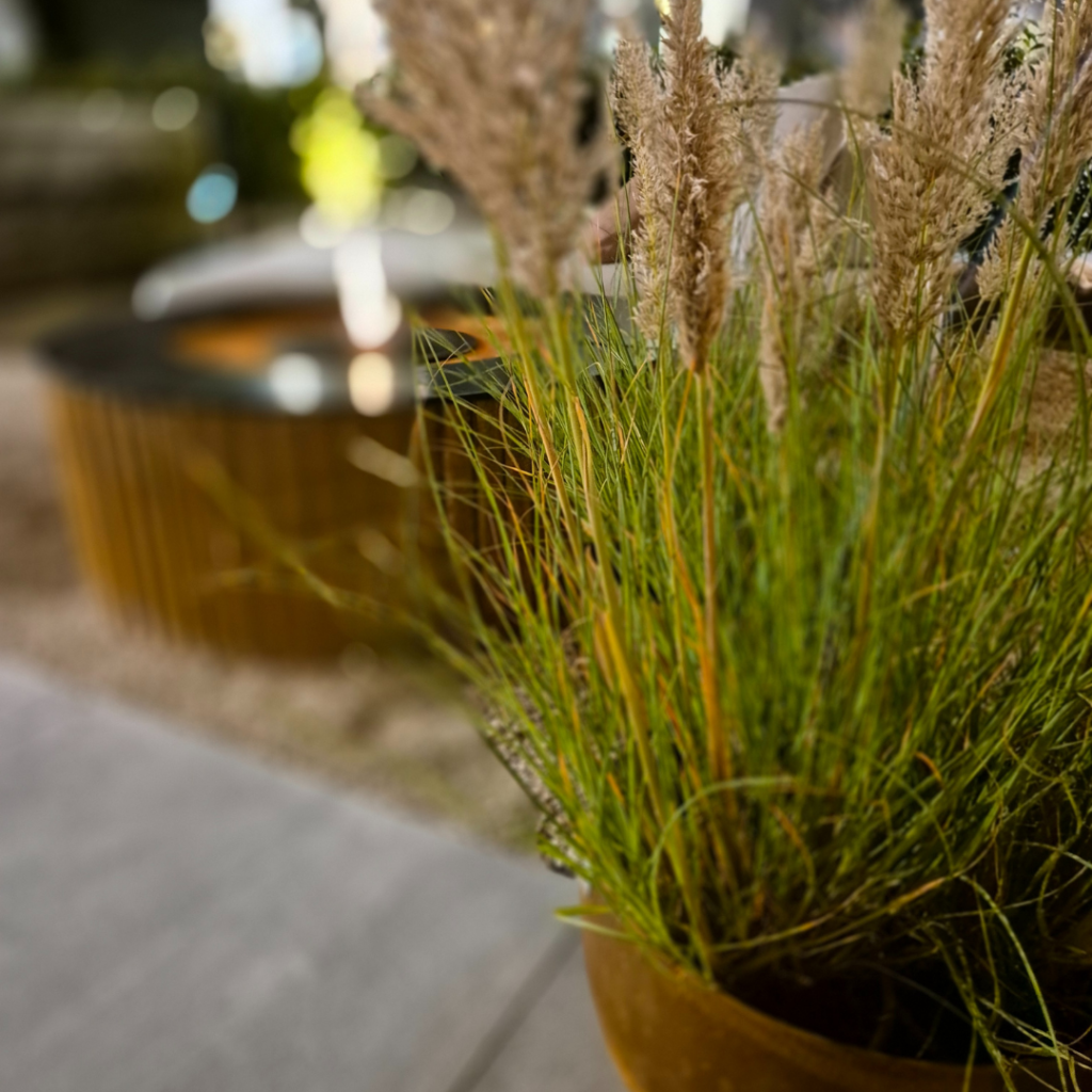 Ontwerp zonder titel (32)