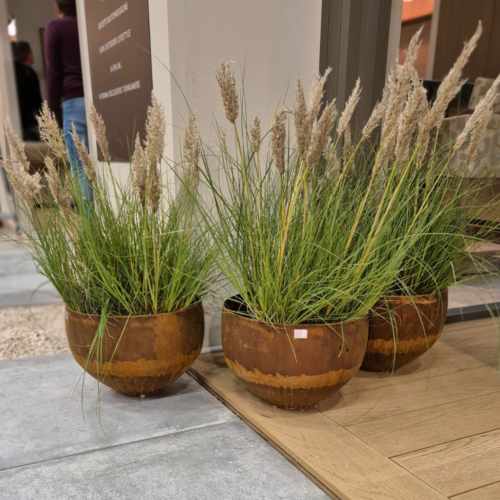 Ontwerp zonder titel (36)