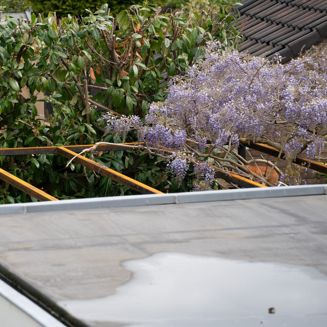 Ontwerp zonder titel (43)