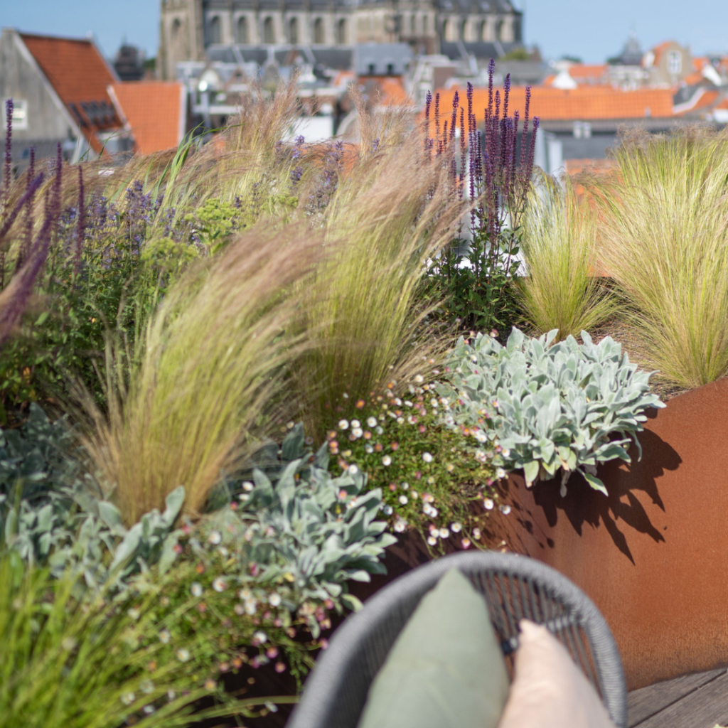 Ontwerp zonder titel (46)