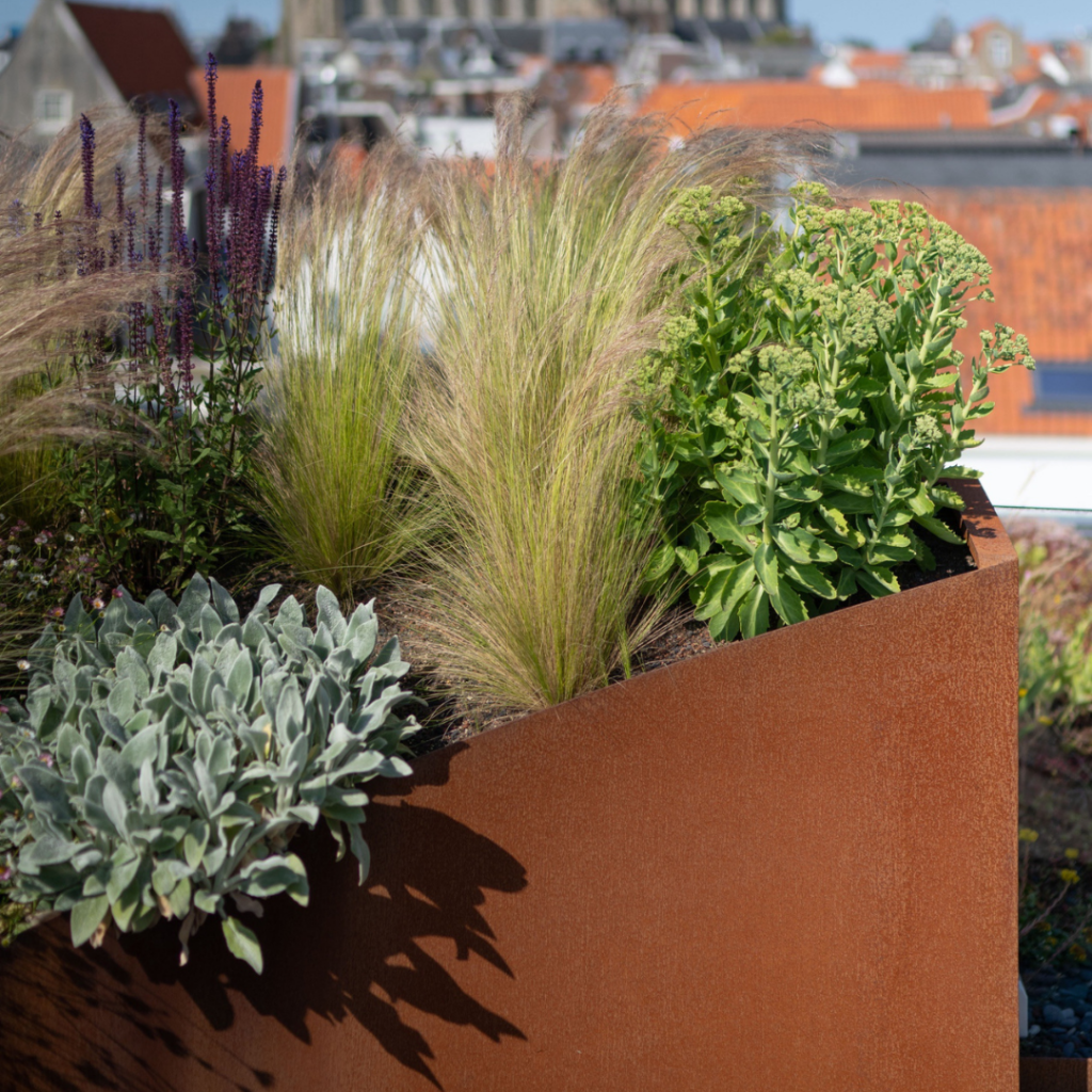 Ontwerp zonder titel (47)