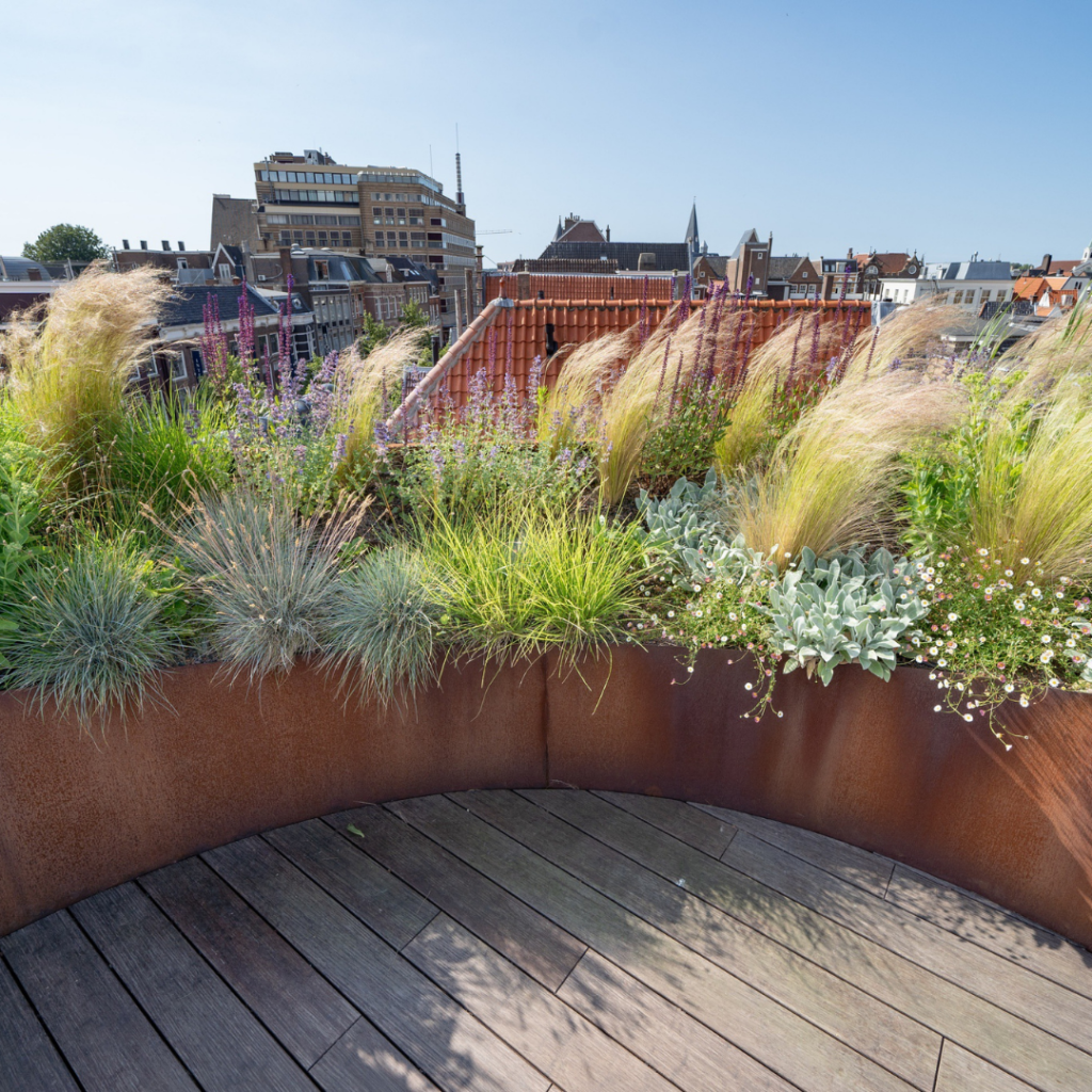 Ontwerp zonder titel (52)