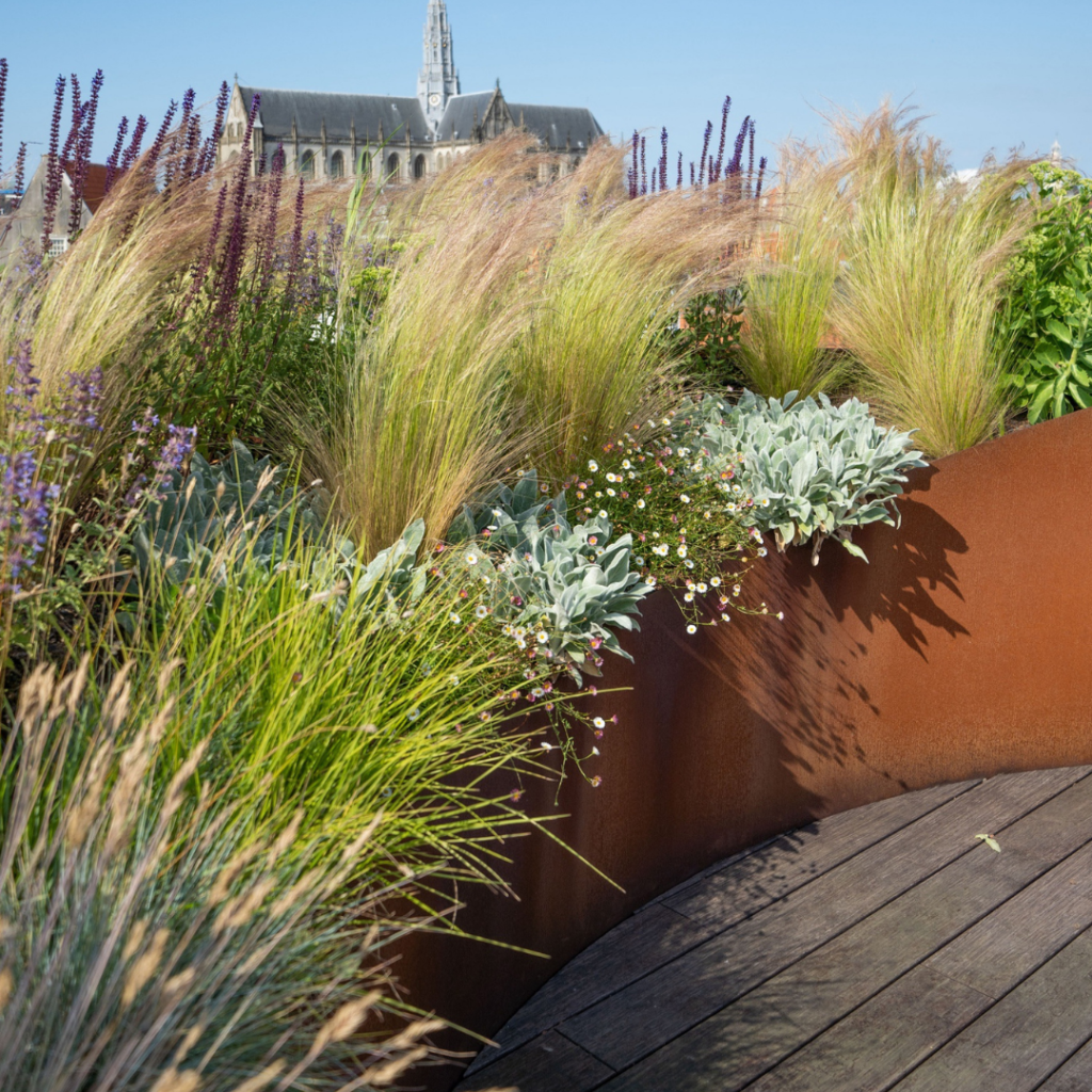 Ontwerp zonder titel (55)