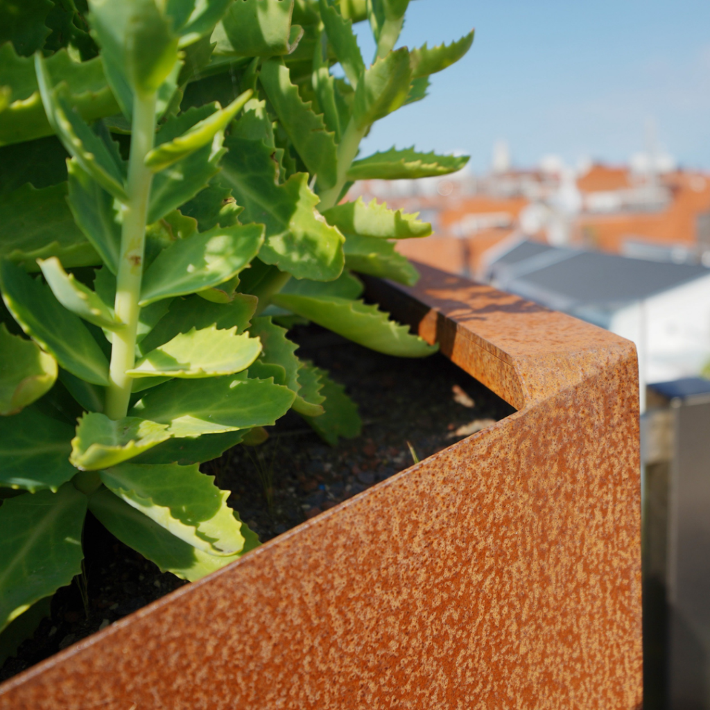 Ontwerp zonder titel (56)