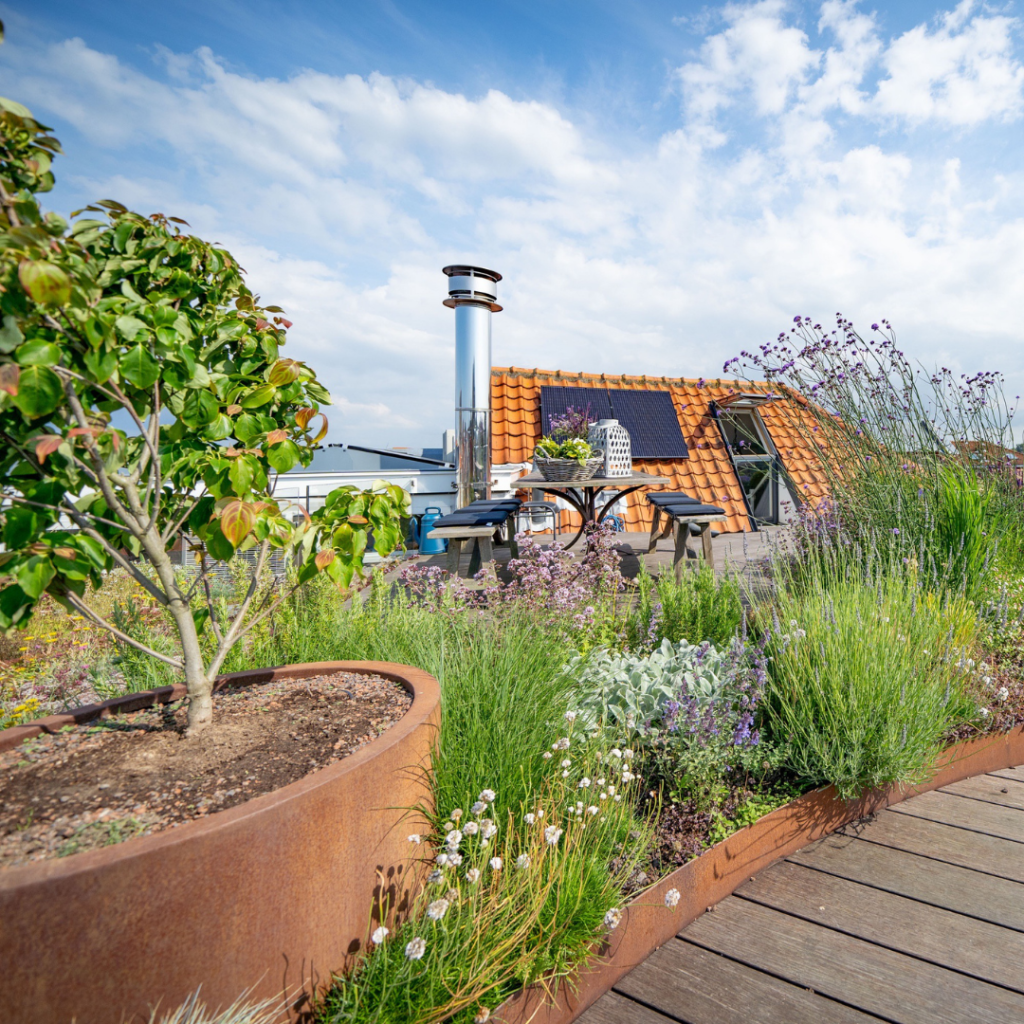 Ontwerp zonder titel (57)