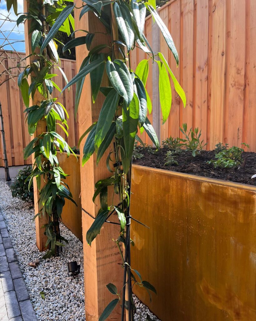 280563705_675186136905393_4978051631209538324_n