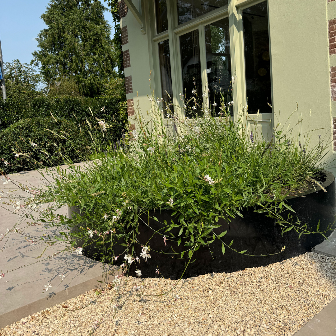 Ontwerp zonder titel (2)