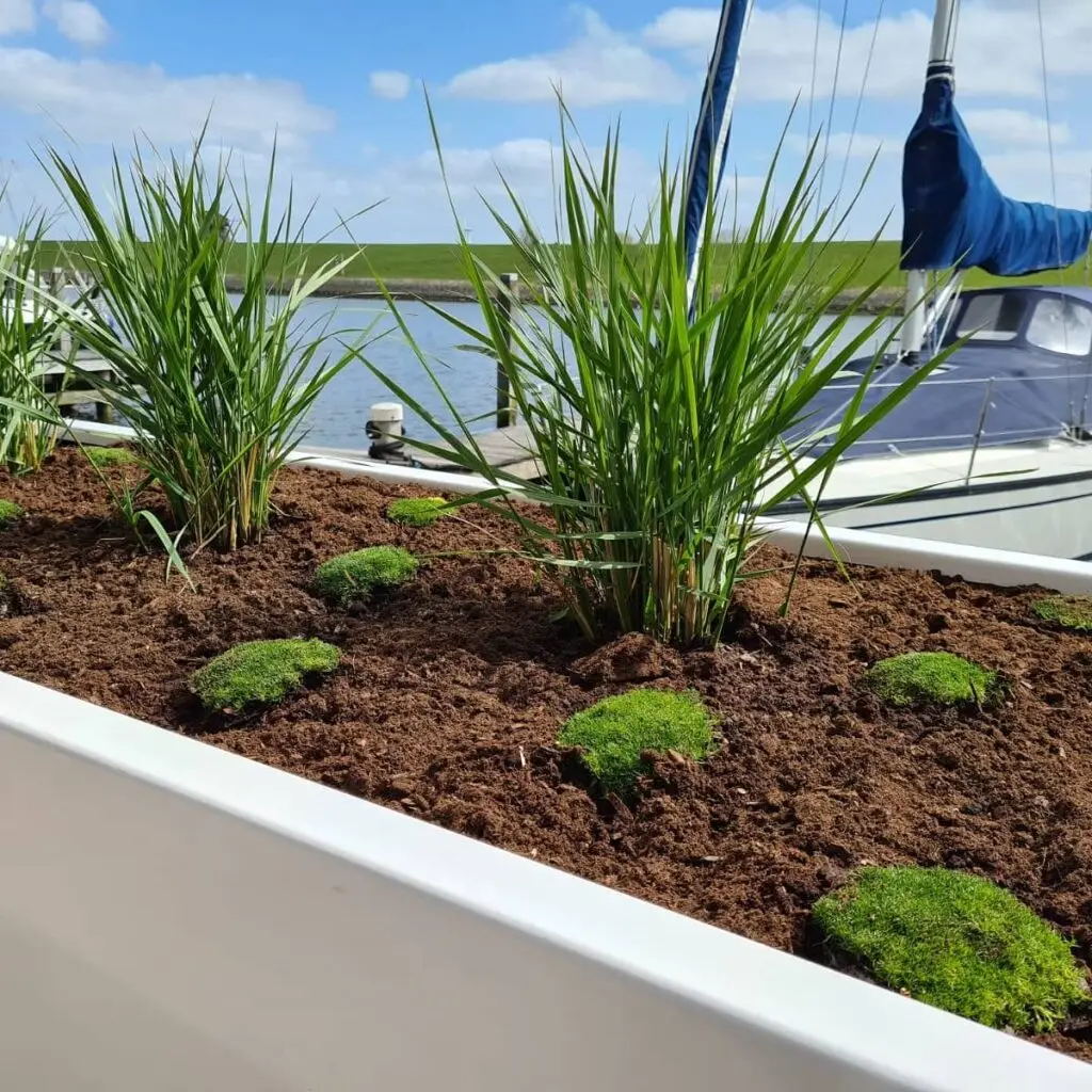 IMG_20210428_122457_100